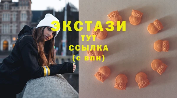 ECSTASY Гусев