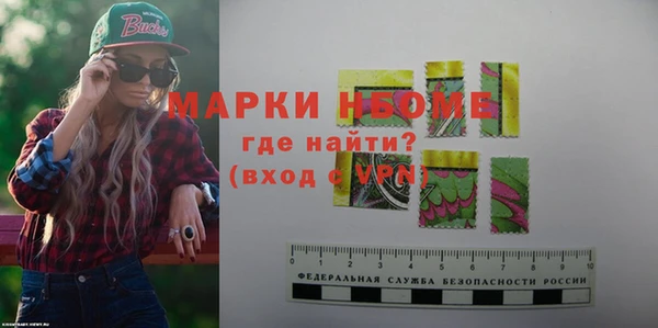 амф Гусь-Хрустальный