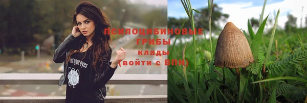 кристаллы Гусиноозёрск