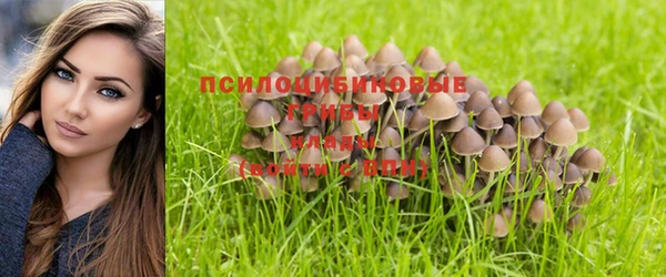 амф Гусь-Хрустальный