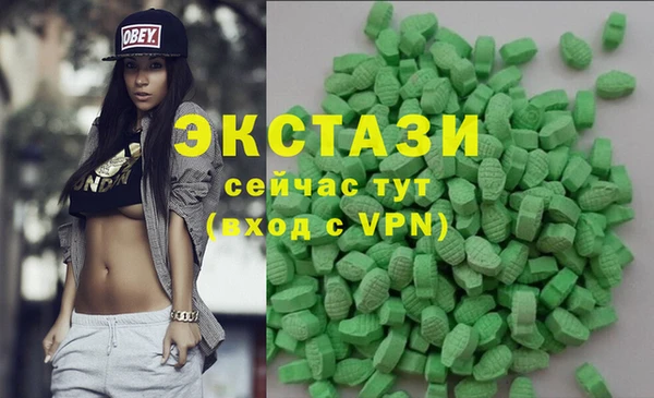 амф Гусь-Хрустальный