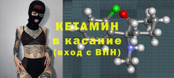 амф Гусь-Хрустальный